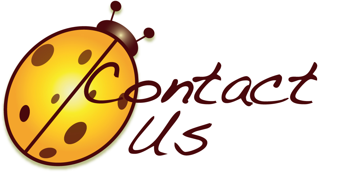 contact us